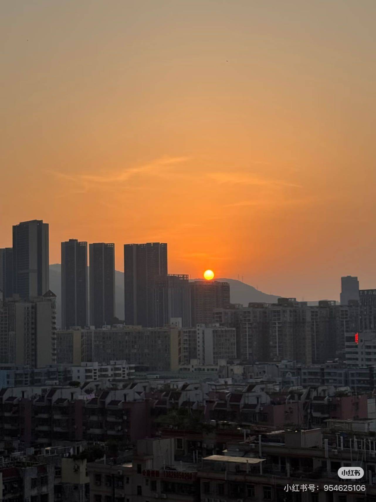 深圳 龙华 | 深圳壹城花园酒店(壹方天地购物中心龙华地铁站店)_5