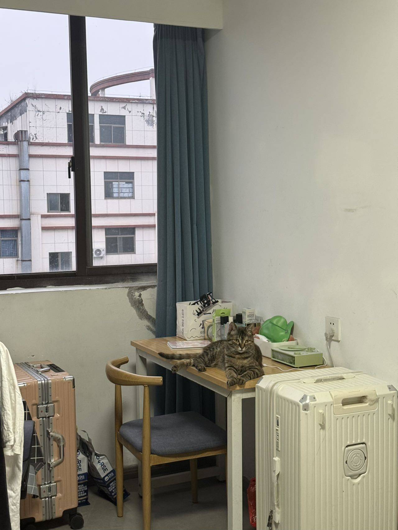 杭州 钱塘 | 比邻公寓_4