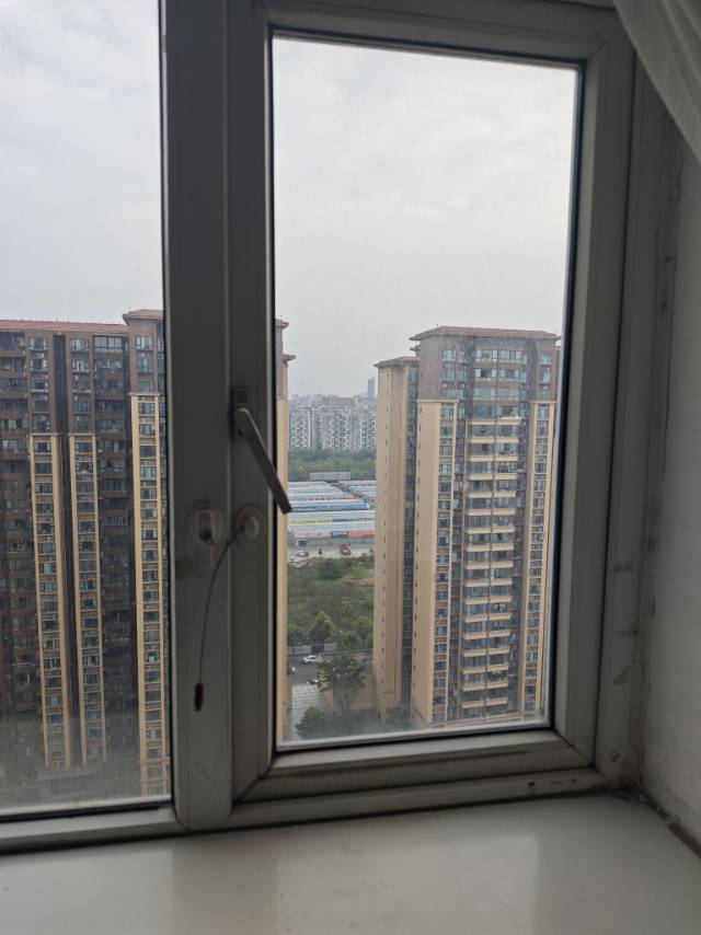 成都 成华 | 蓝光金悦府_3