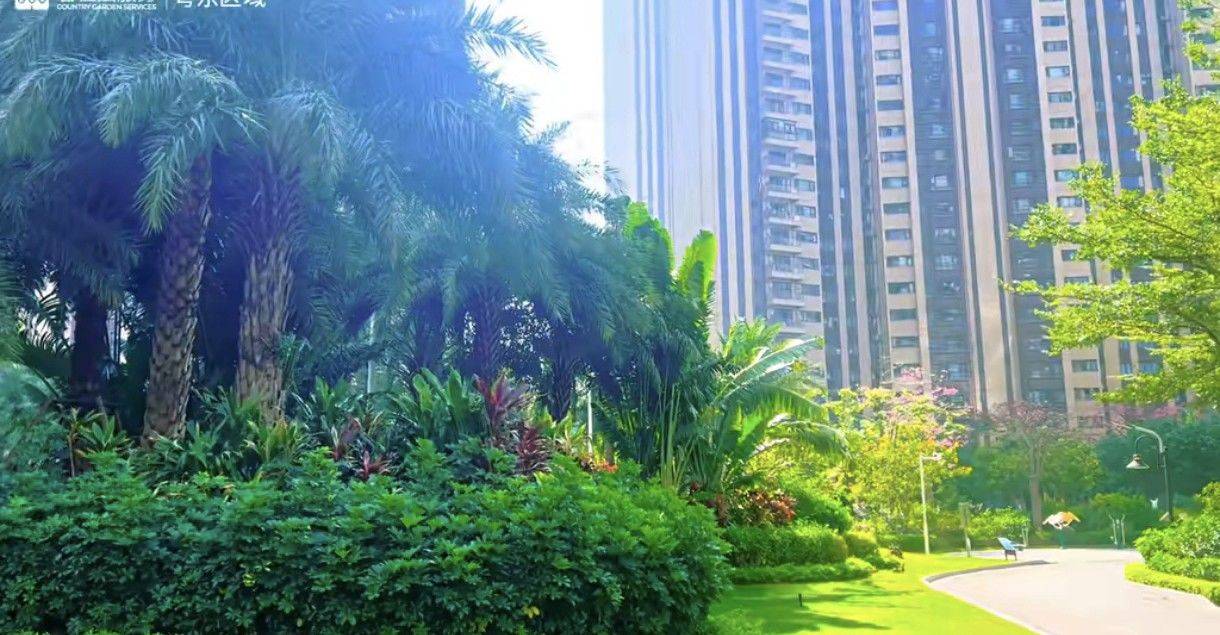 深圳 坪山 | 联兴路1号-1栋_8
