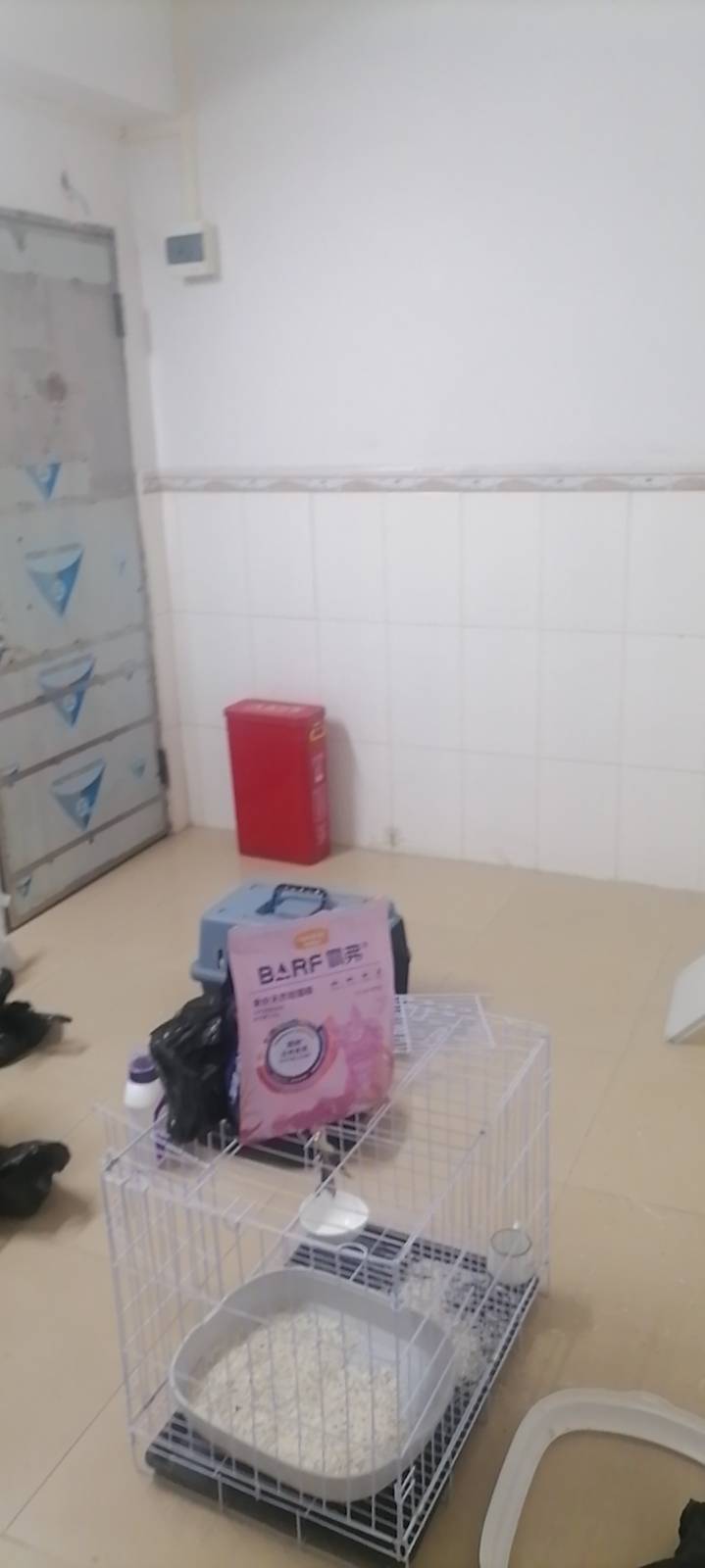 芋泥整租房源1