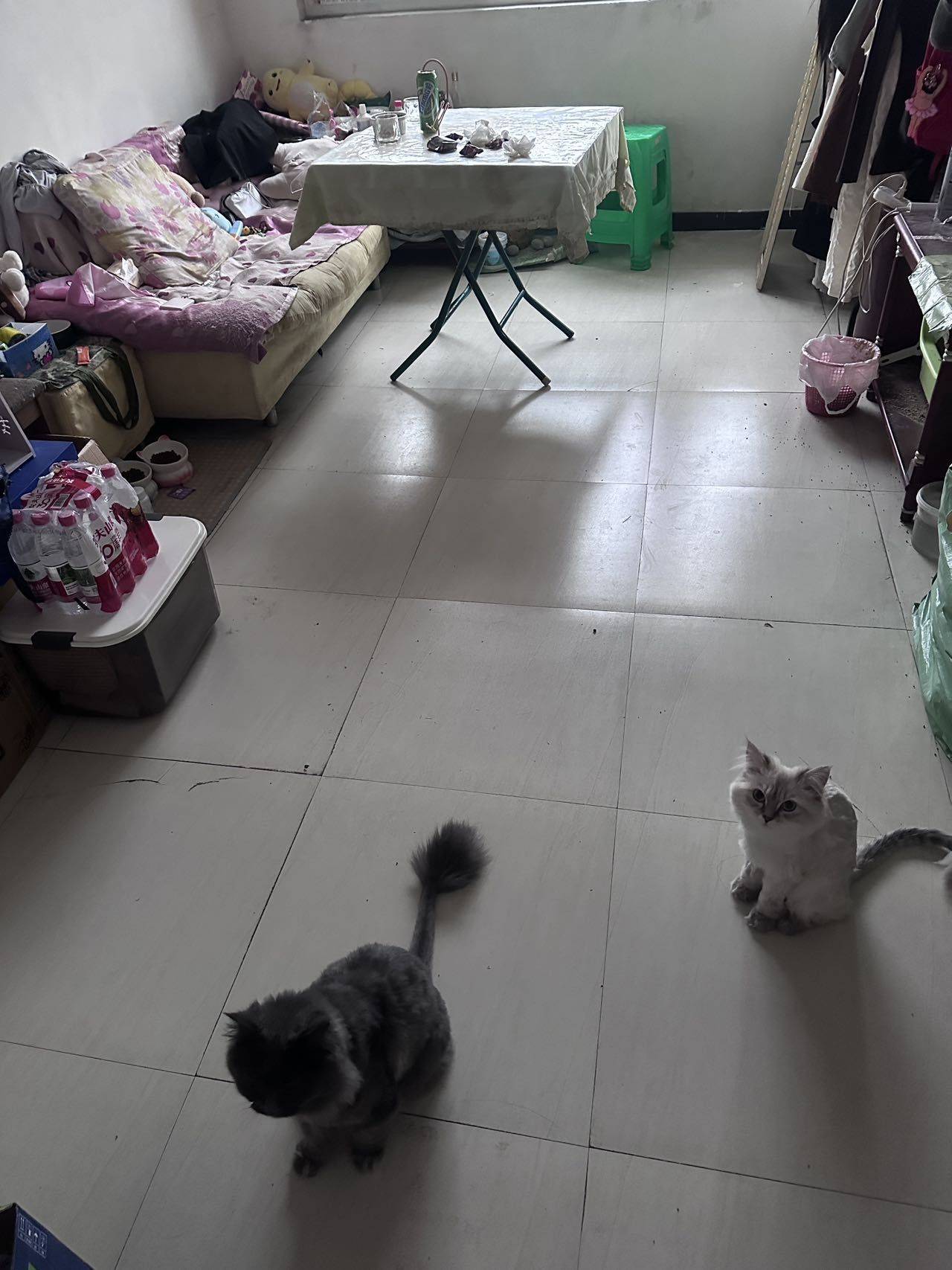 重庆 两江新区 | 金竹苑-2区_2