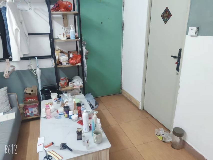 深圳 龙岗 | 莲花南巷_2