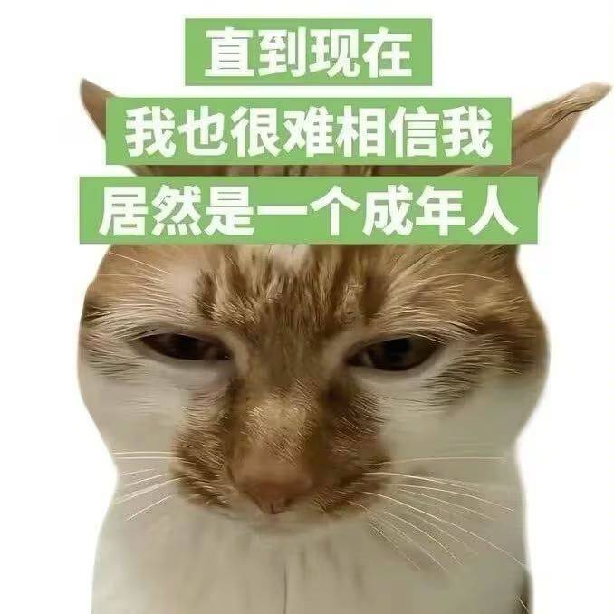 上海 松江 | 西南名苑_2