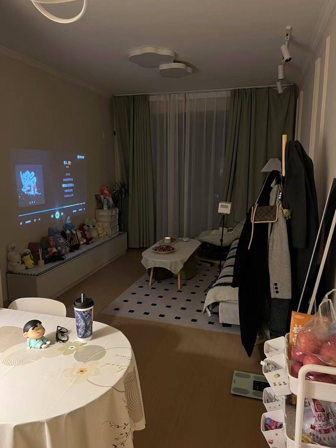 王祖贤南京分贤整租房源1