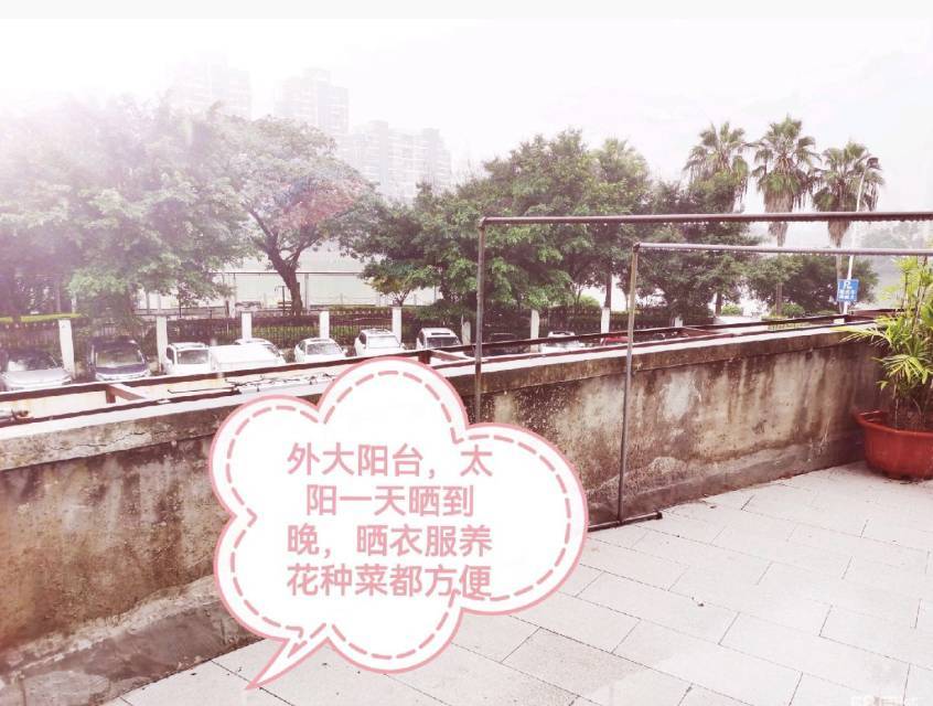 求人就求己整租房源1