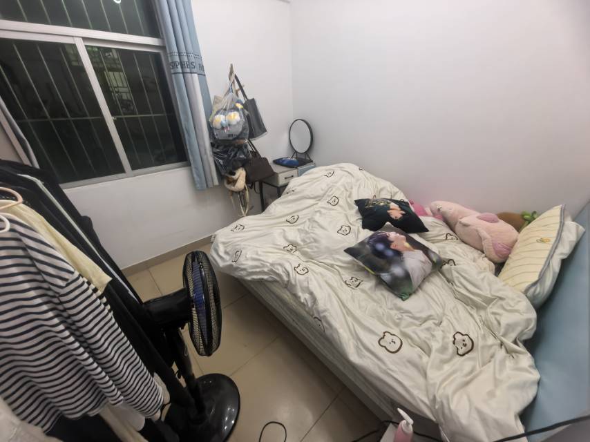 深圳 龙华 | 樟坑二区_5