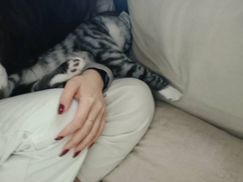 糯米整租房源3
