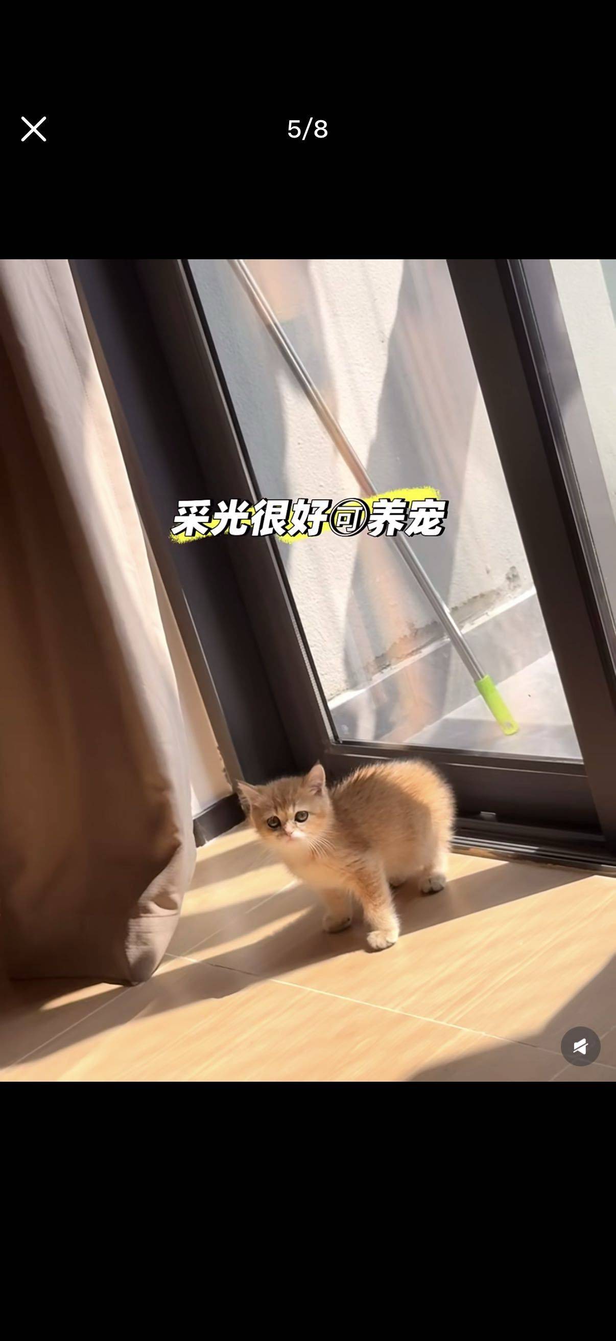 深圳 寶安 | 深圳安小窝公寓(华强广场塘尾地铁站店)_5