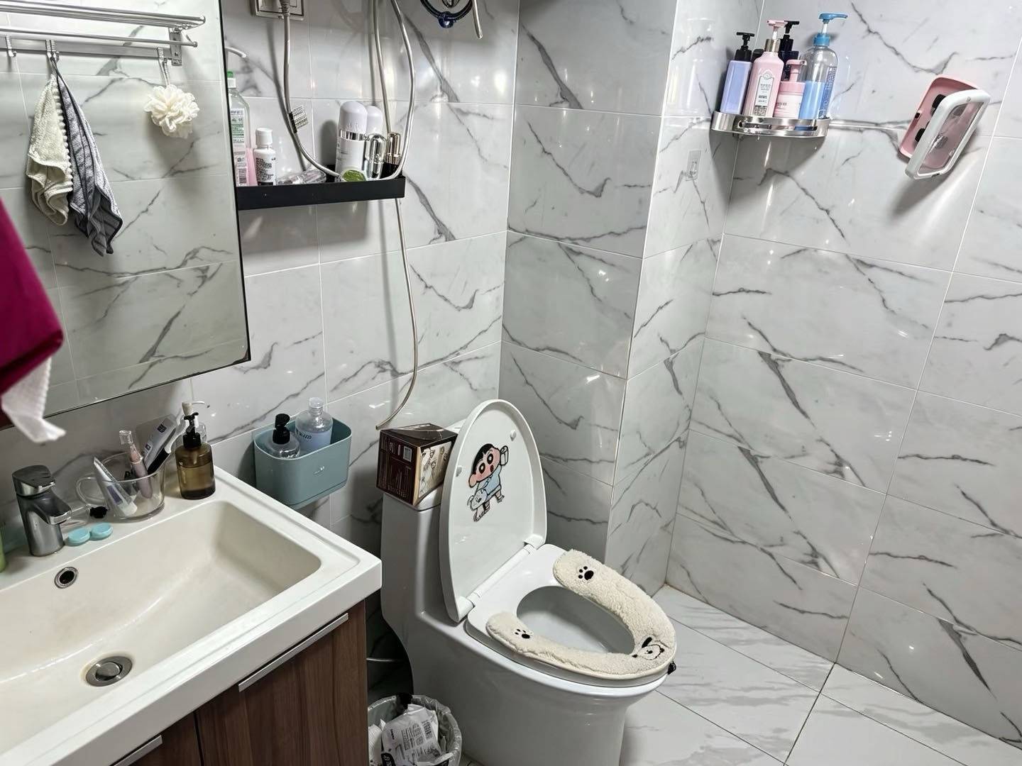 一只绵羊整租房源3