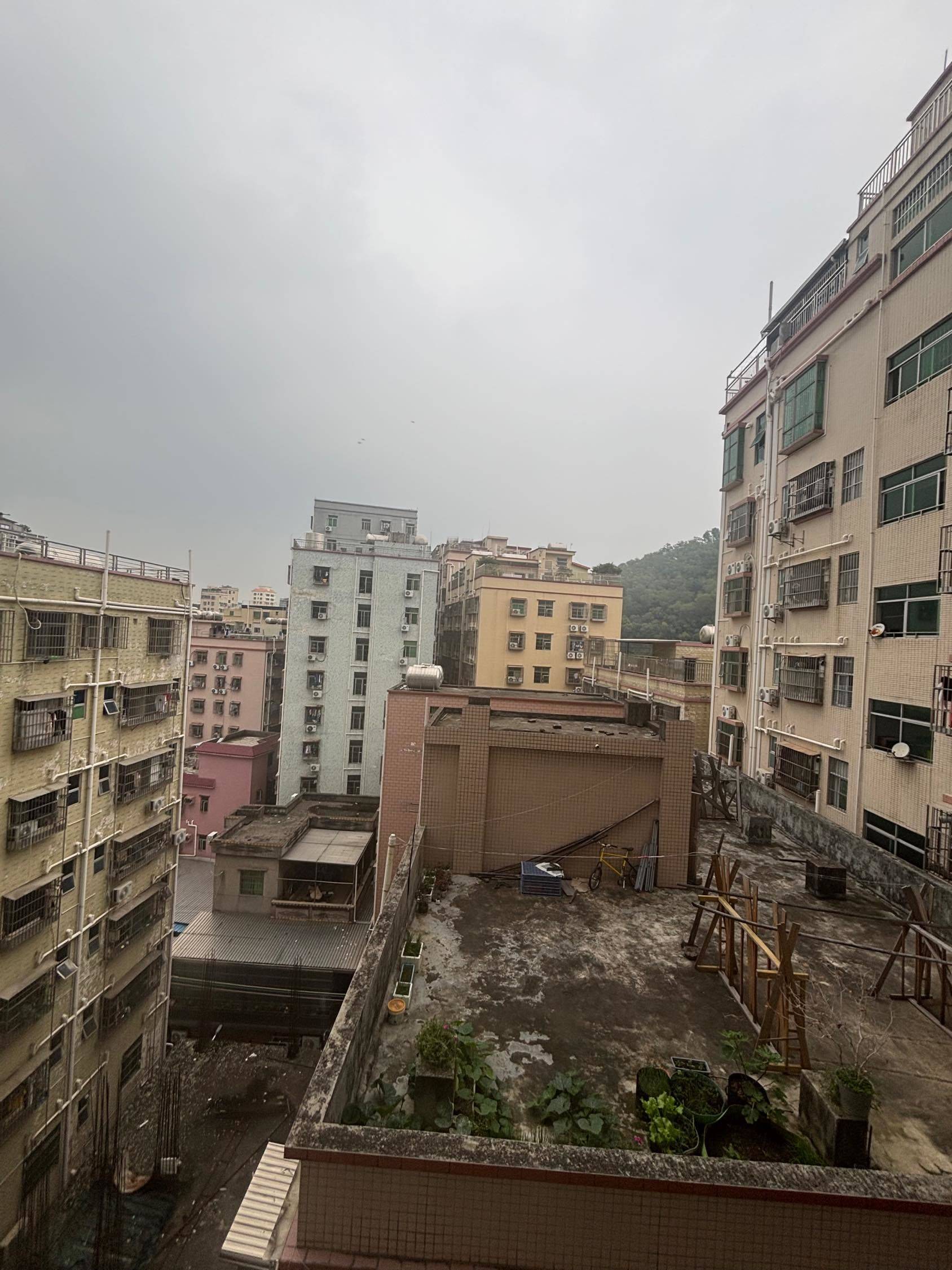 樊俊整租房源1