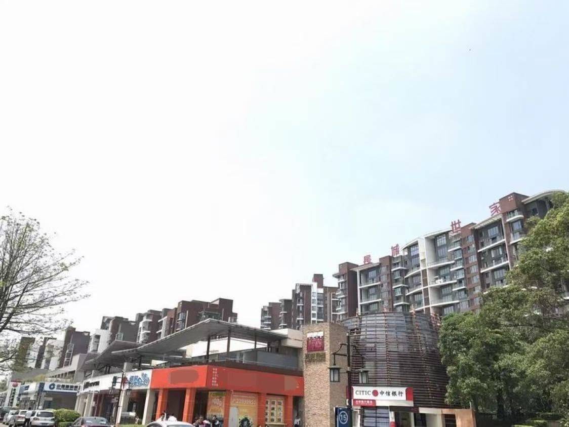 Songshanhu 长城世家