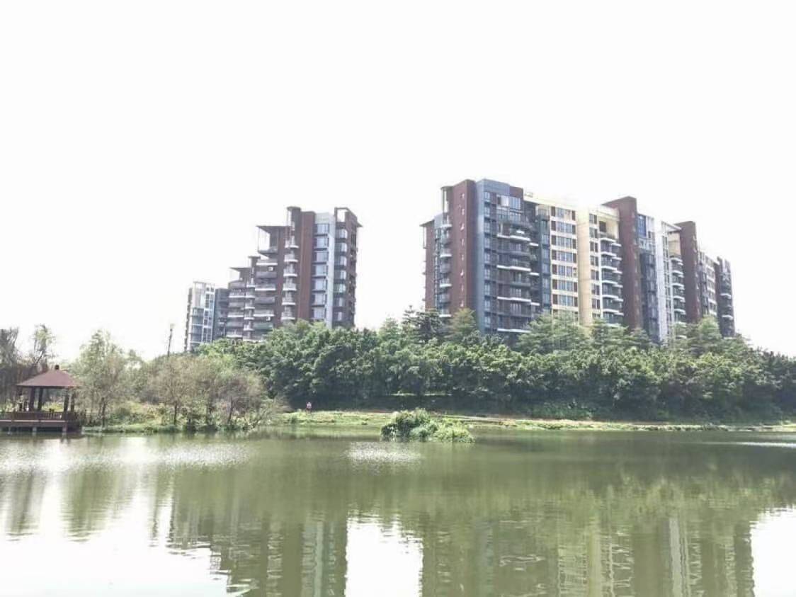 Songshanhu 长城世家