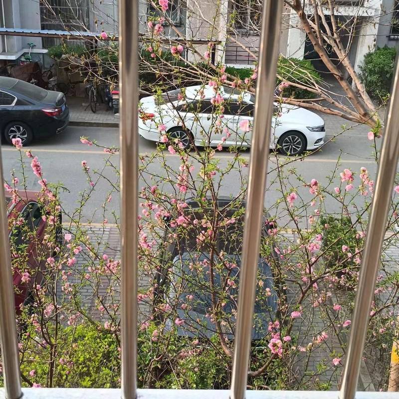 北京 昌平 | 龙博苑1区_5