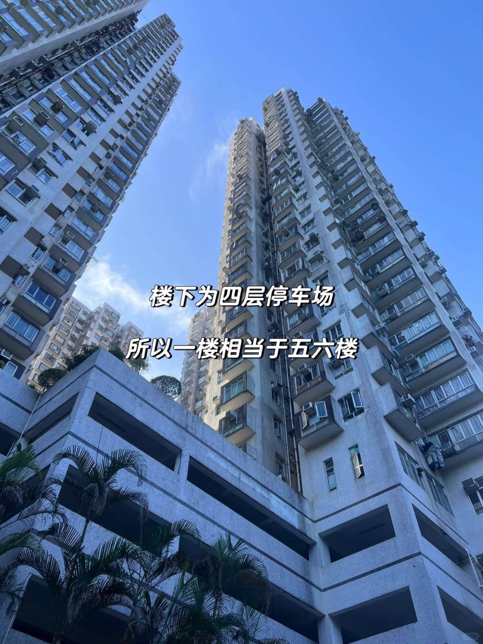 香港岛  金狮花园一期