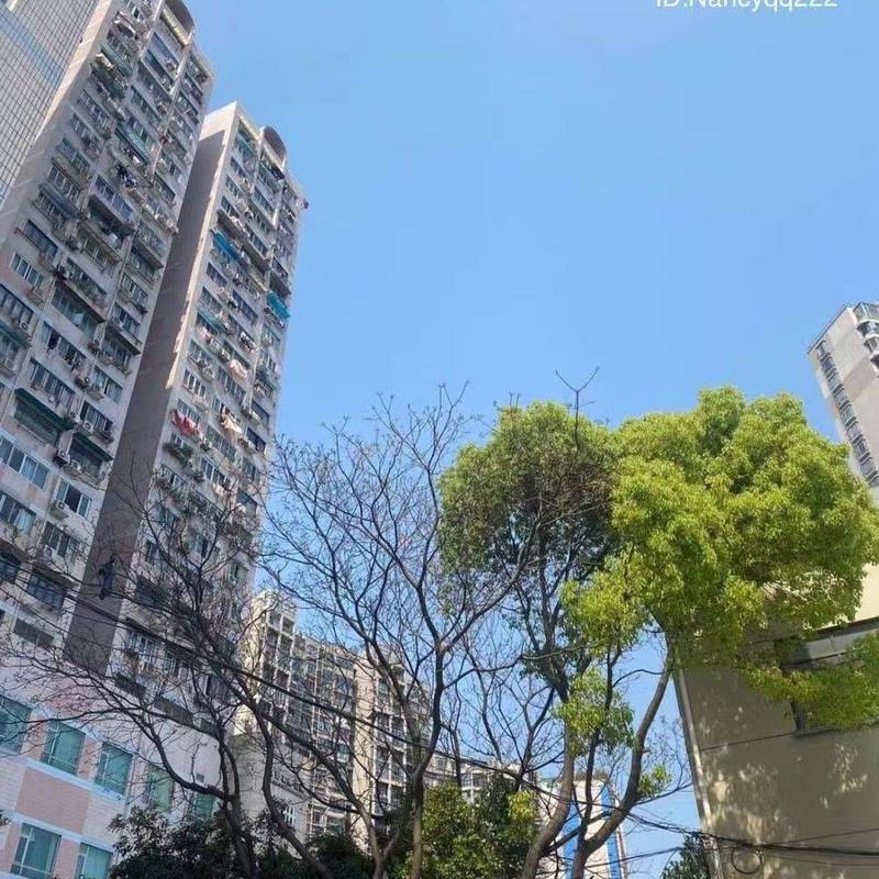 Shanghai Huangpu | 上海人家永厦大楼-1号_6