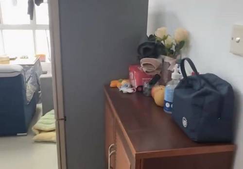 岳麓 桔洲新苑