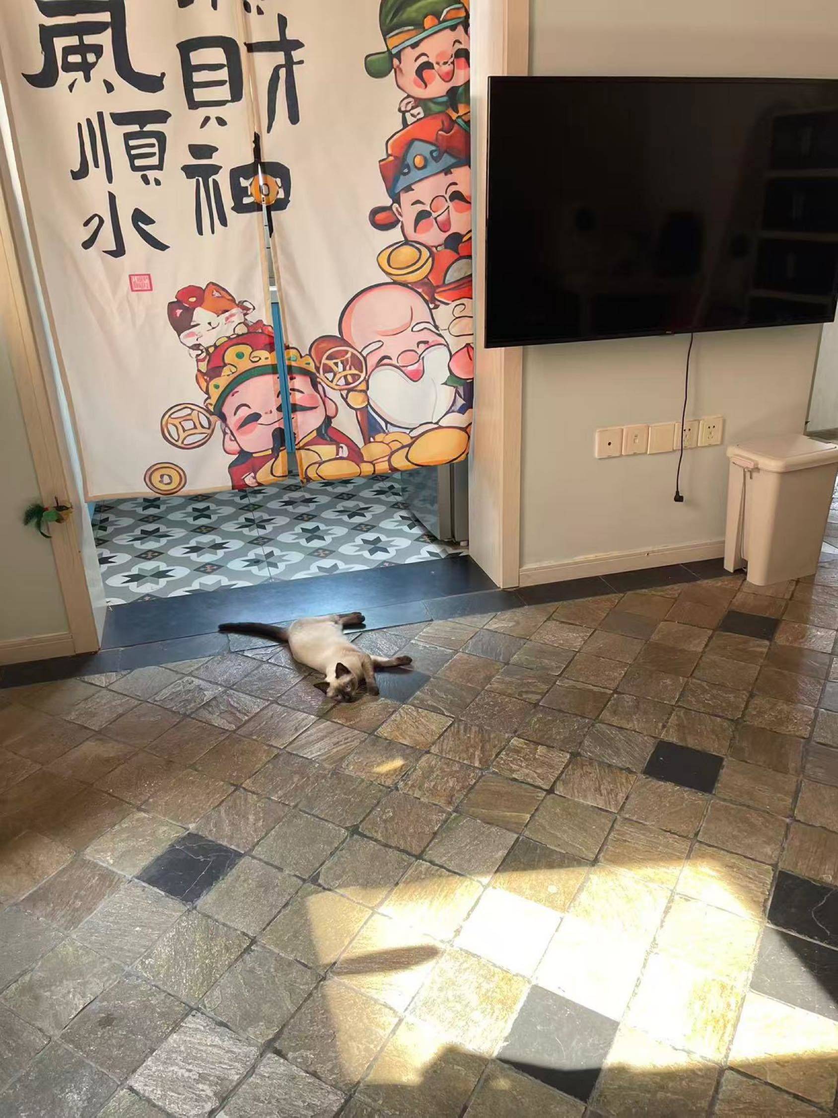迈酱整租房源2