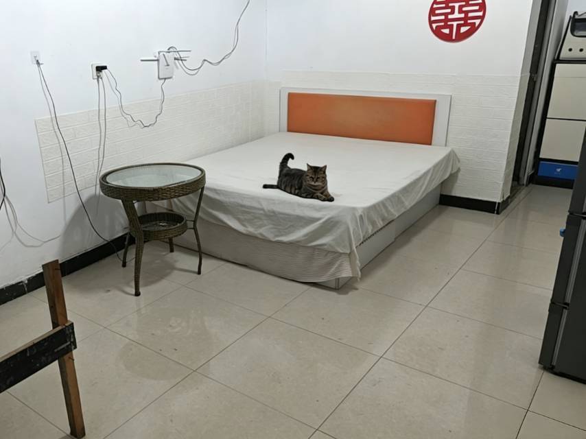 Cozy Home-Clean&Comfy-No Gender Limit-Hustle & Bustle-Pet Friendly
