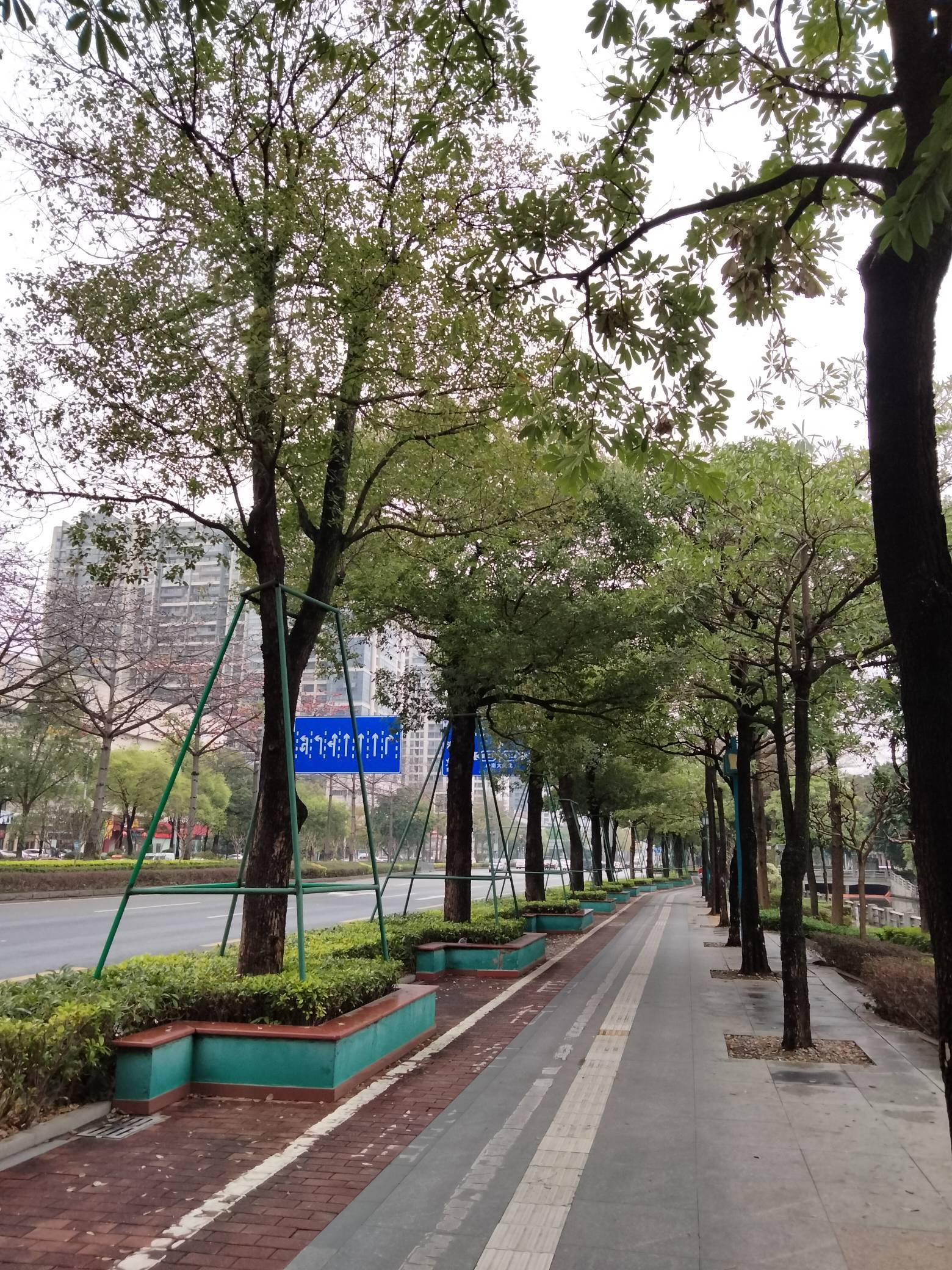 佛山 禅城 | 滨海御庭东区-3座_8