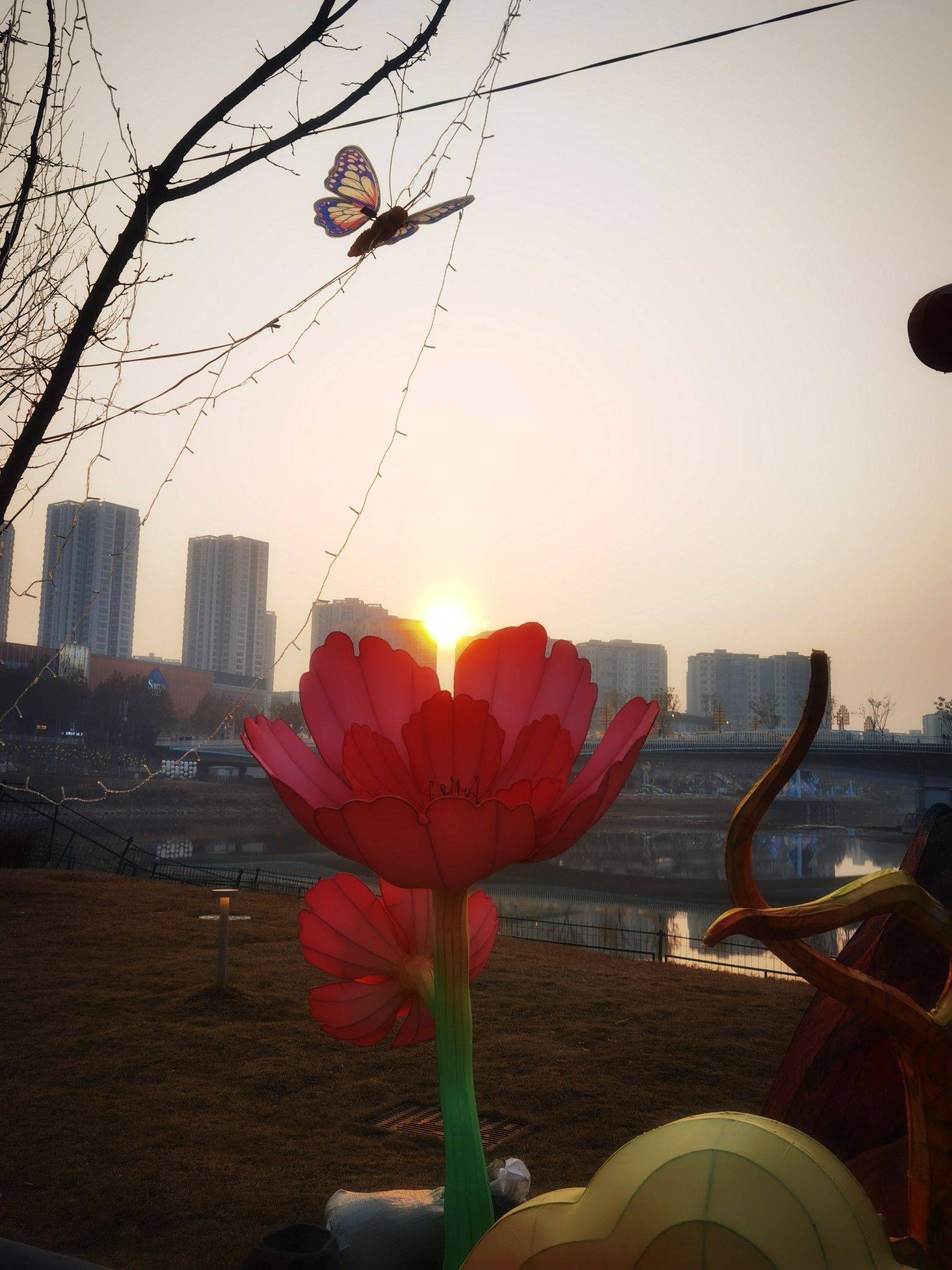 大渡口 龙桥花苑-三组团