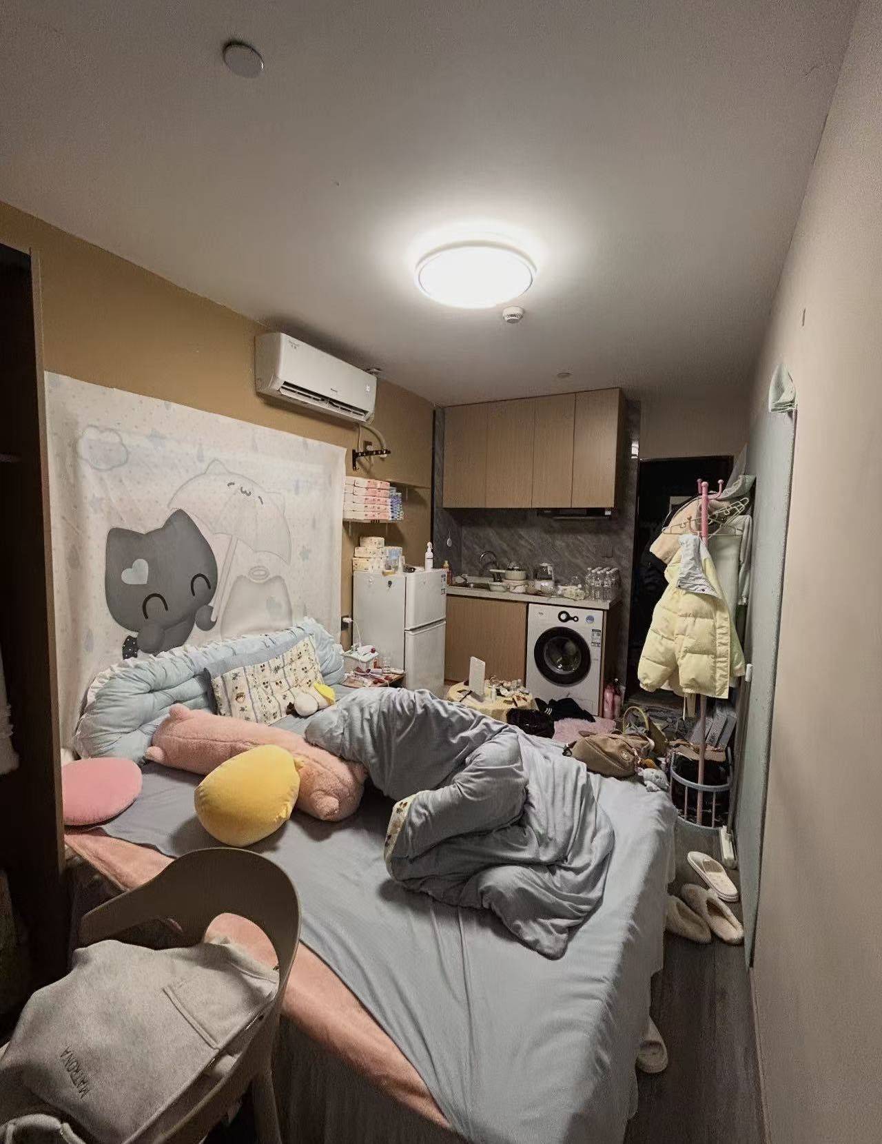高冷的葡萄整租房源3