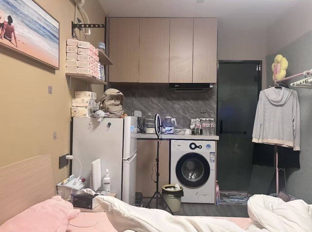 高冷的葡萄整租房源2