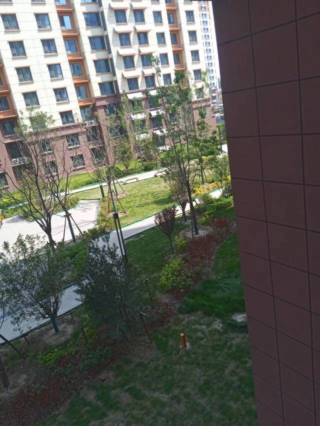 鸿雁整租房源2