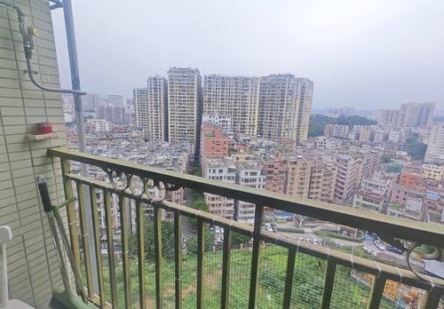 Longgang 鸿润豪苑