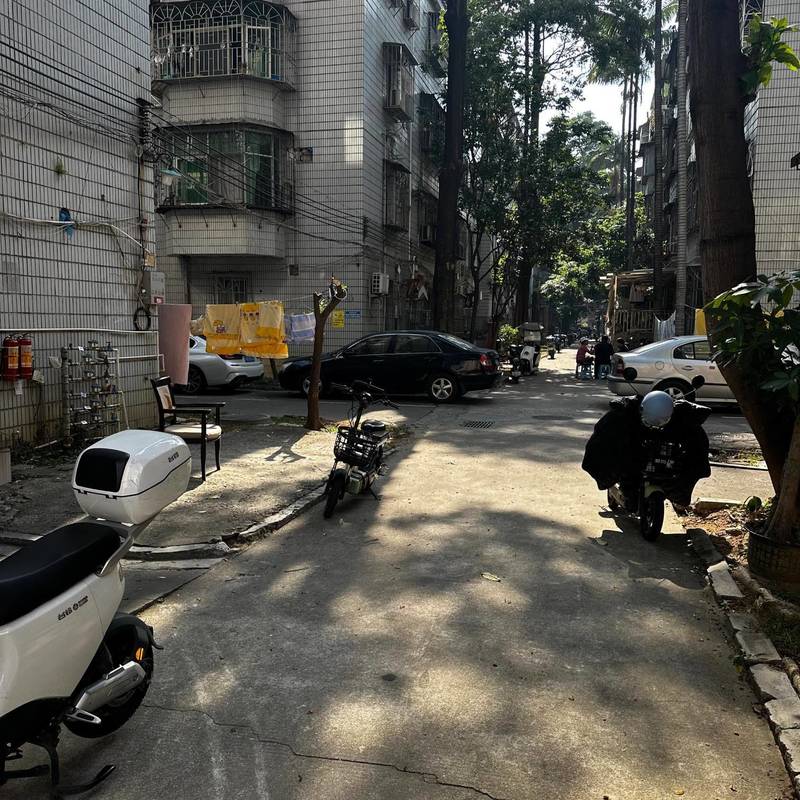 深圳 寶安 | 海乐花园-27栋_3