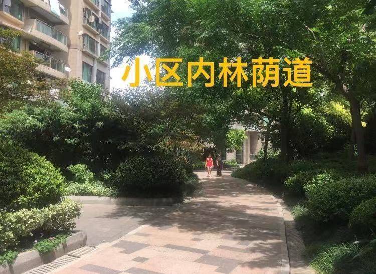上海 虹口 | 瑞虹新城-二期_7
