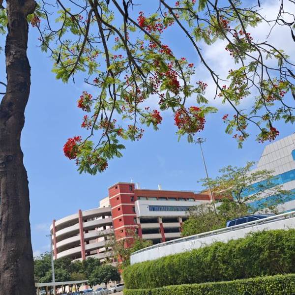 小青菜整租房源3