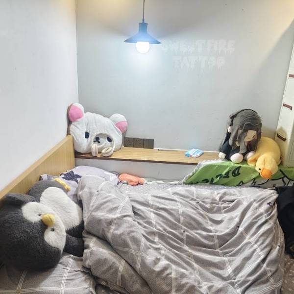 吞吞整租房源1