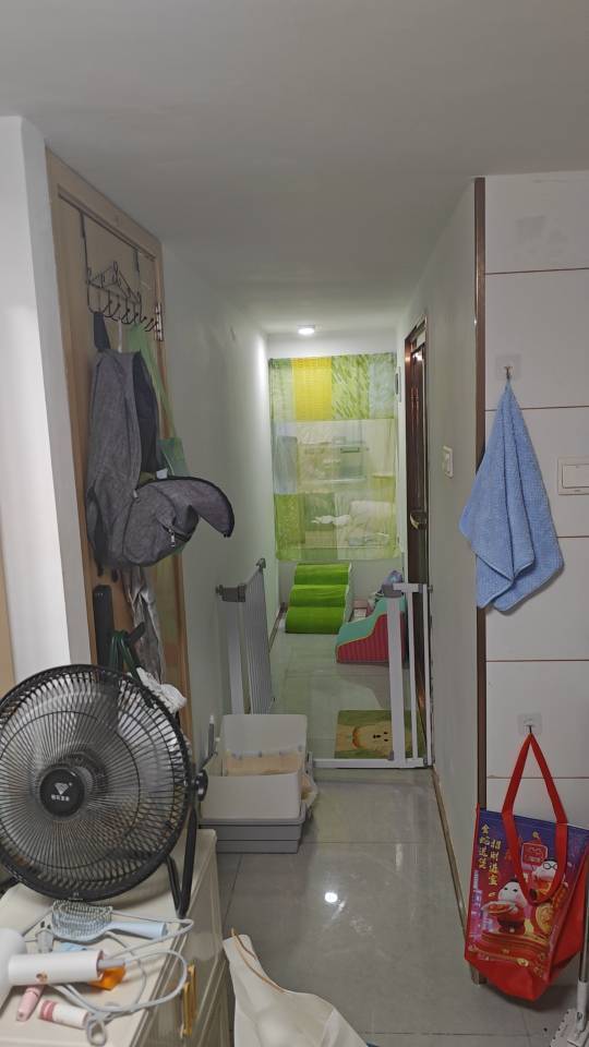 摸摸小狗头整租房源2