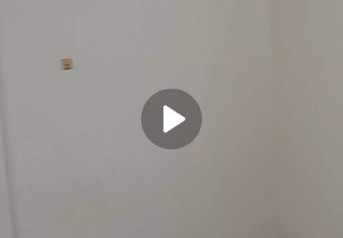 香洲 心海州