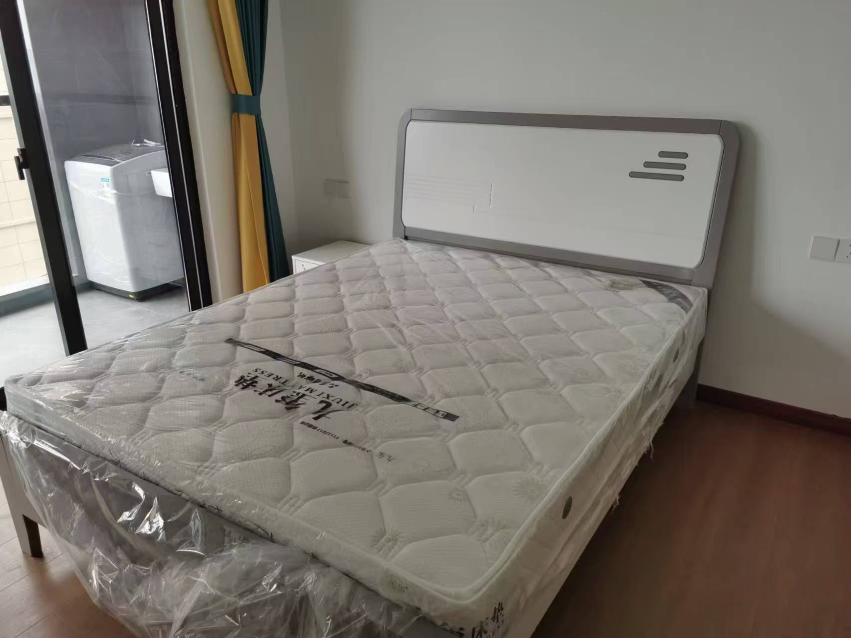 出租一室一厅整租房源2