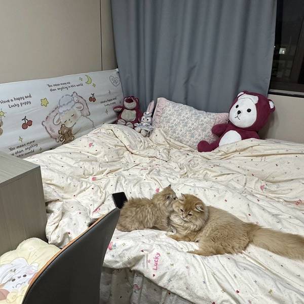 R7.整租房源3