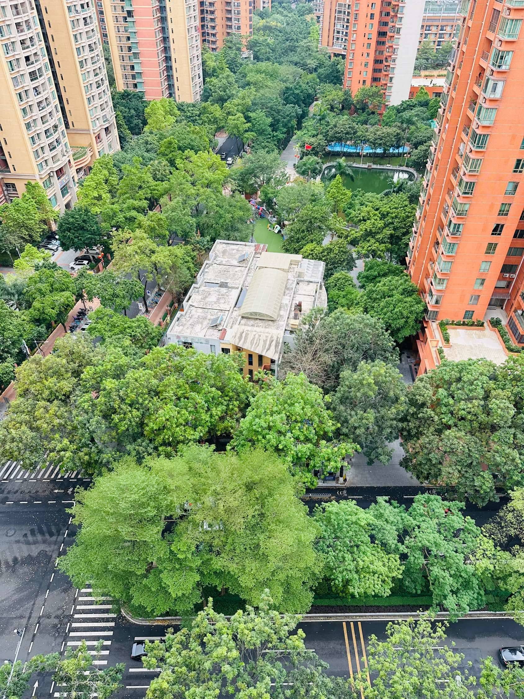 广州 天河 | 南国花园_6