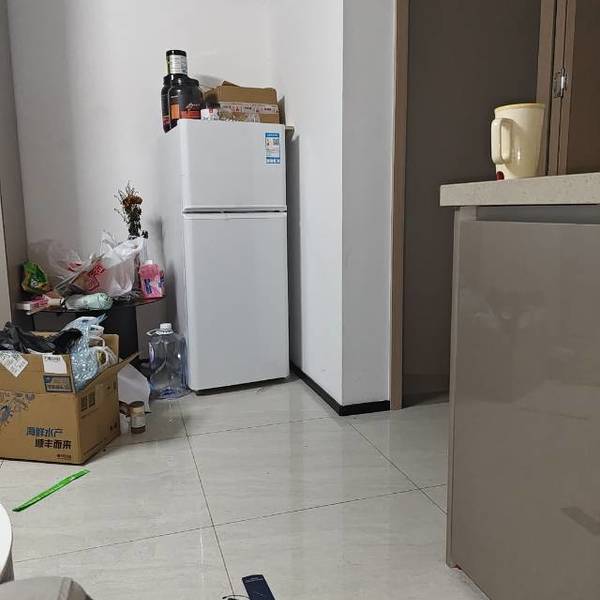 Lilian整租房源3