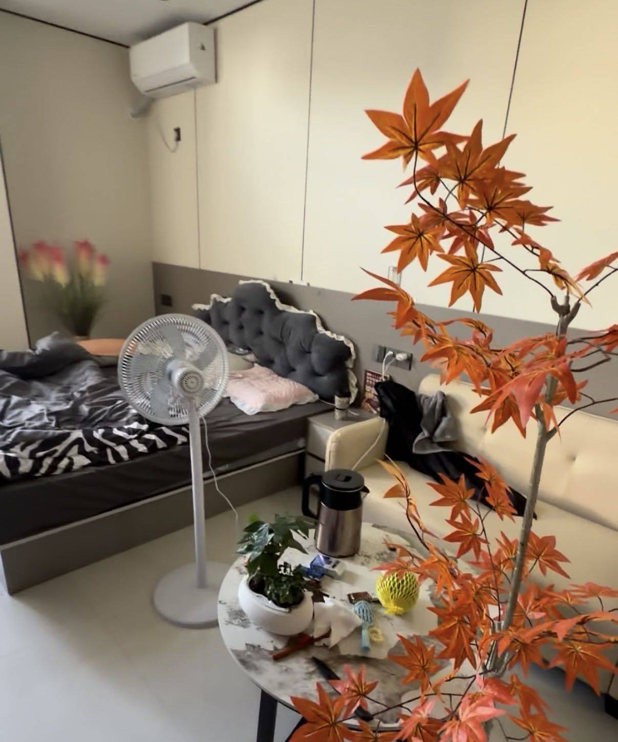 Cozy Home-Clean&Comfy-No Gender Limit