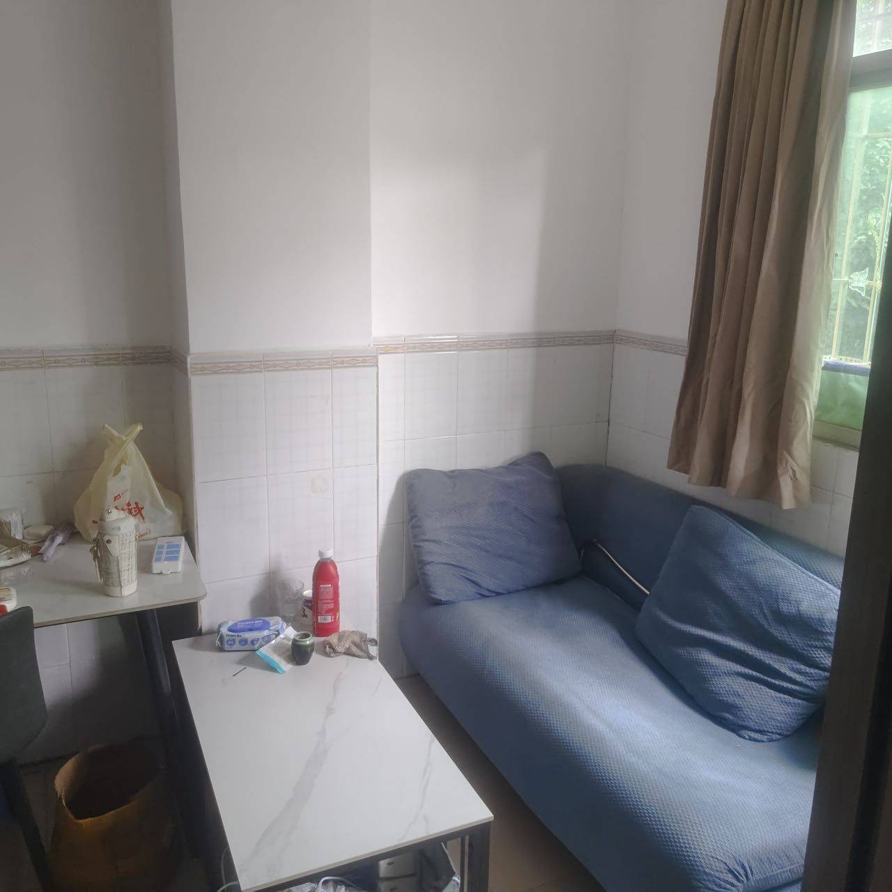 深圳 龙岗 | 大发埔西村_3