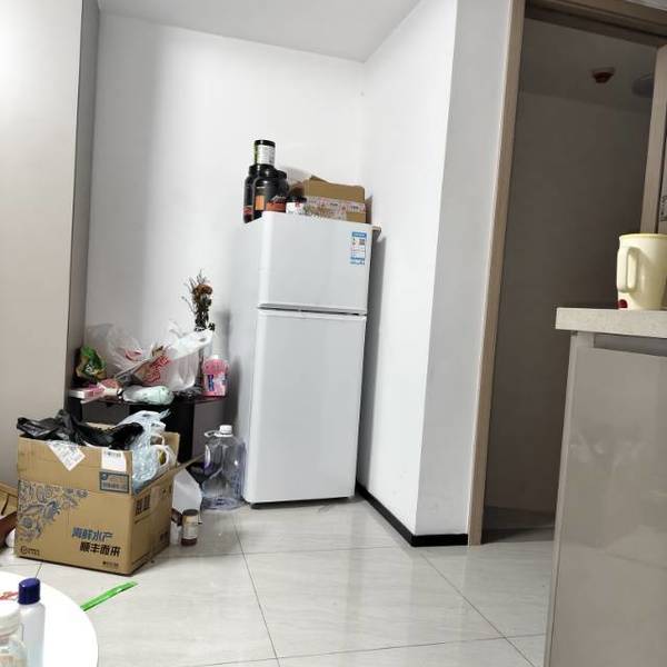 Lilian整租房源1
