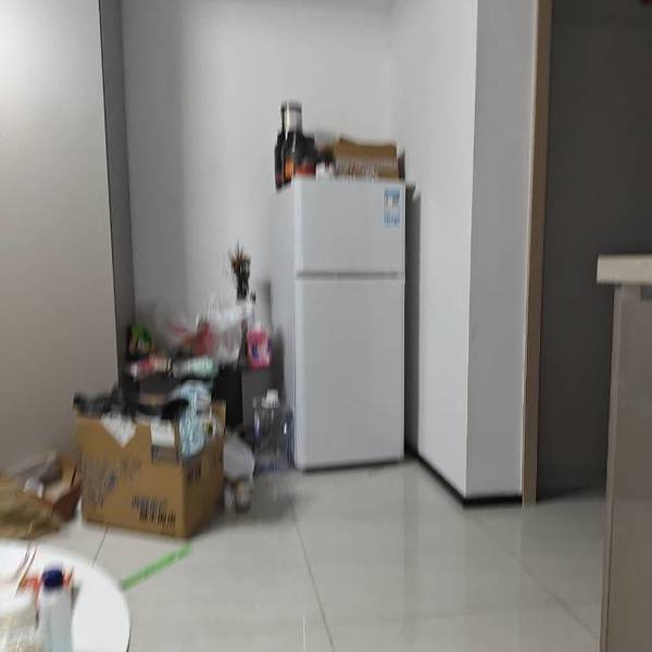 Lilian整租房源2