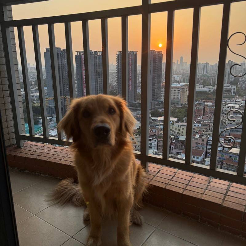 Guangzhou Haizhu | 东恒花园-2栋_4