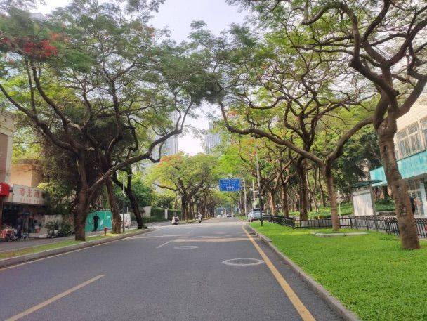Shenzhen Nanshan | 华侨新村_7