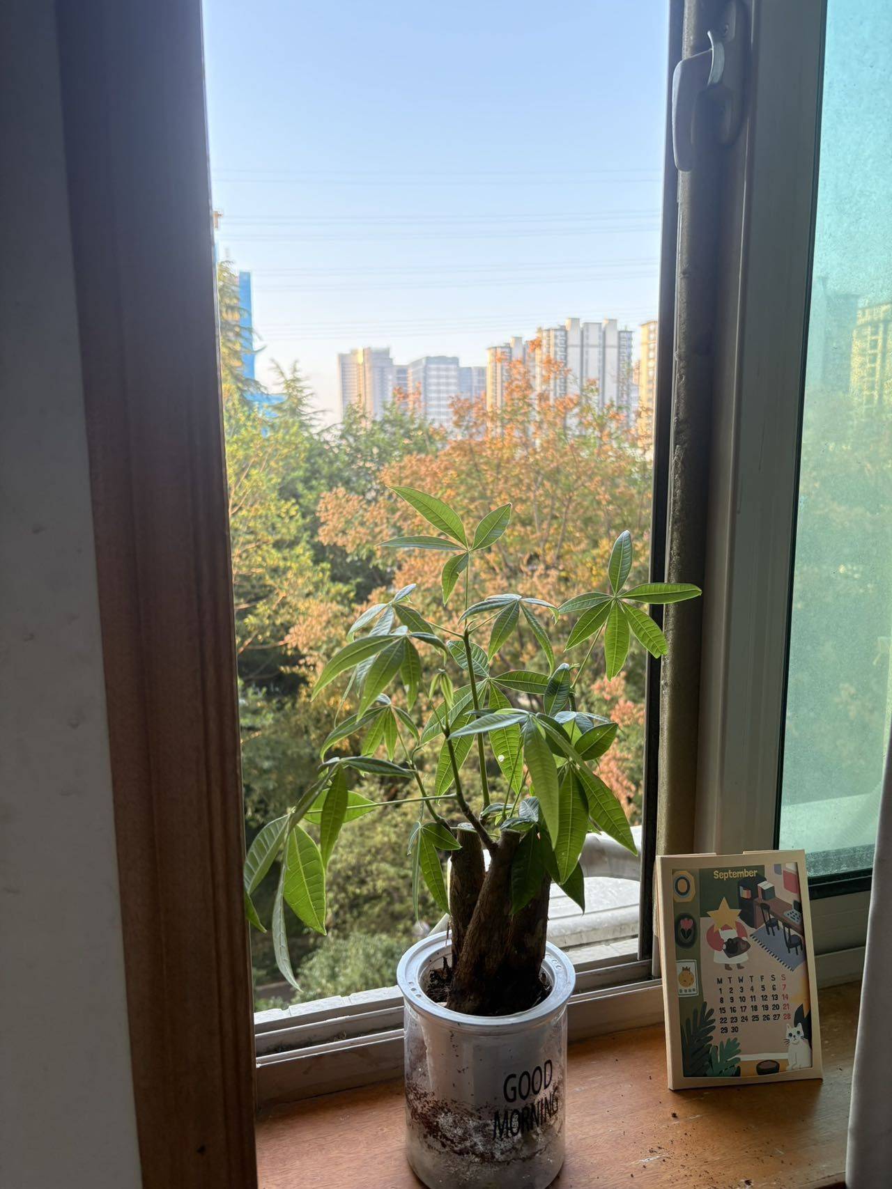 洪*翁整租房源2