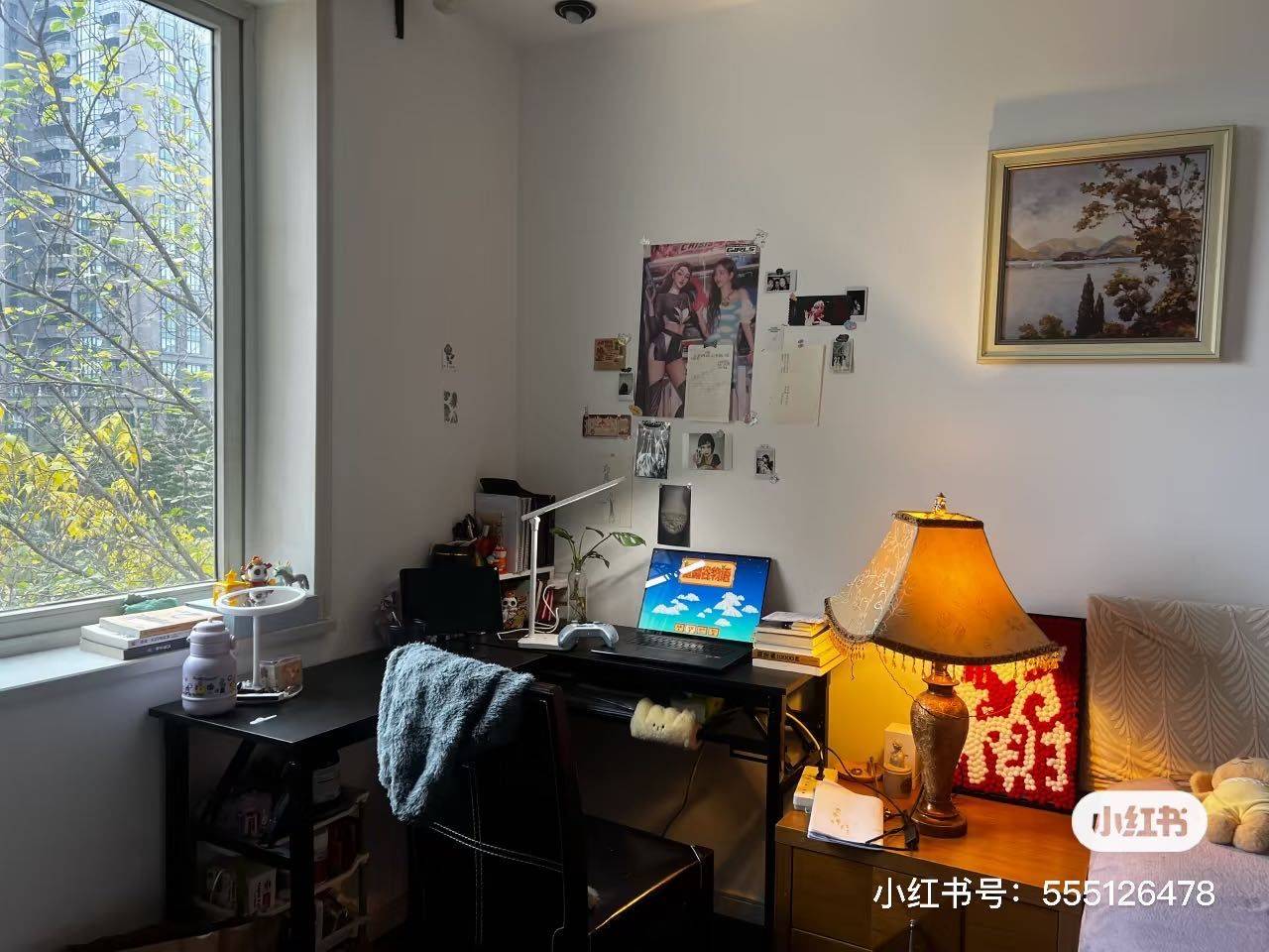武侯 芳草地