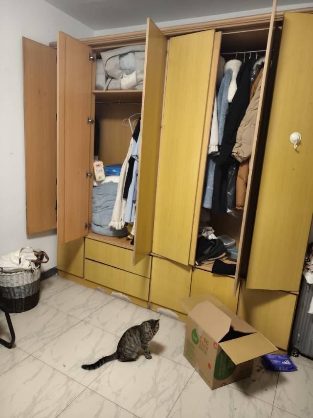 北风乱整租房源2