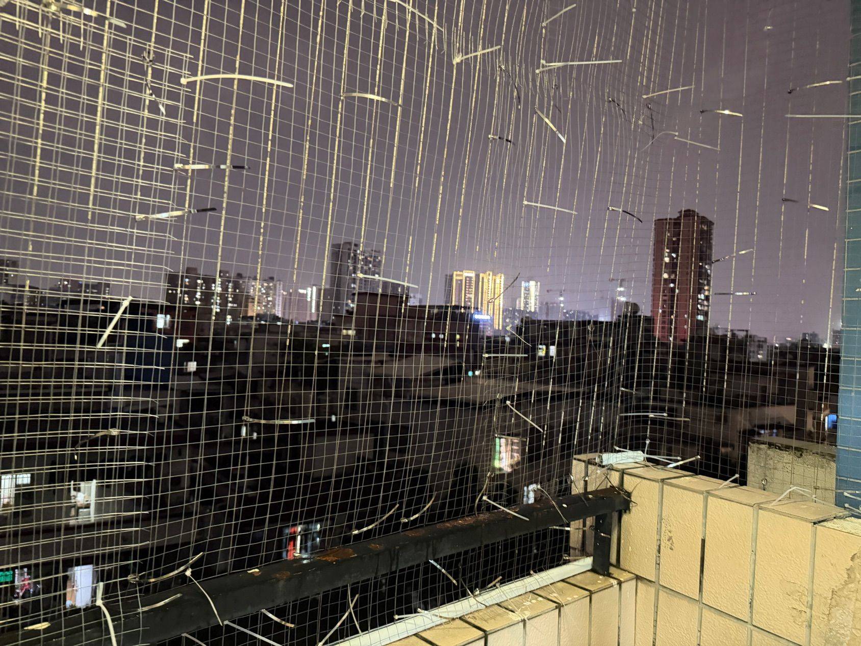 广州 海珠 | 中信金影花园_6