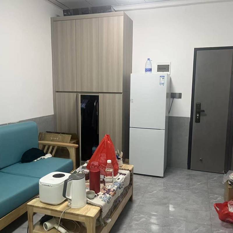 深圳 龍華 | 桂兰新村七巷-32栋_3